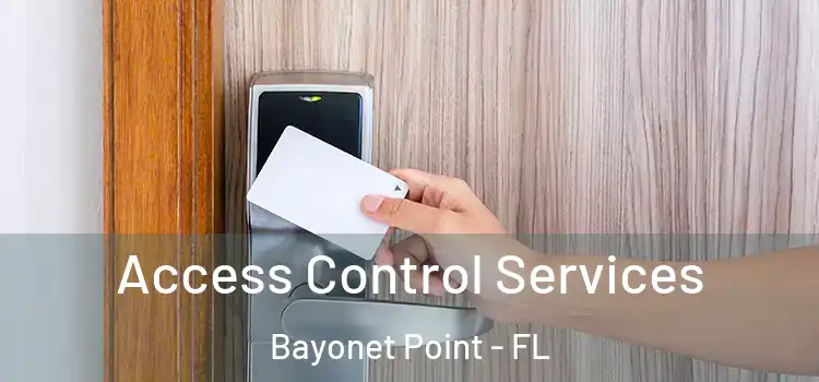 Access Control Services Bayonet Point - FL