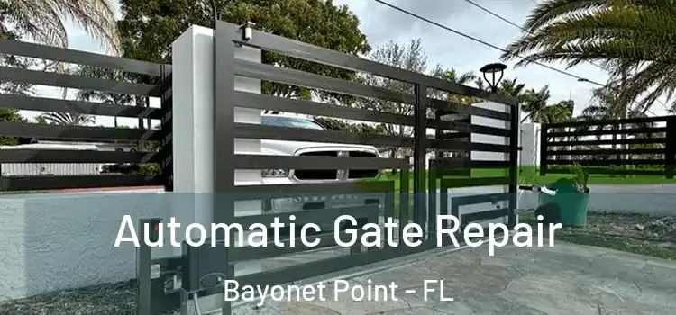 Automatic Gate Repair Bayonet Point - FL