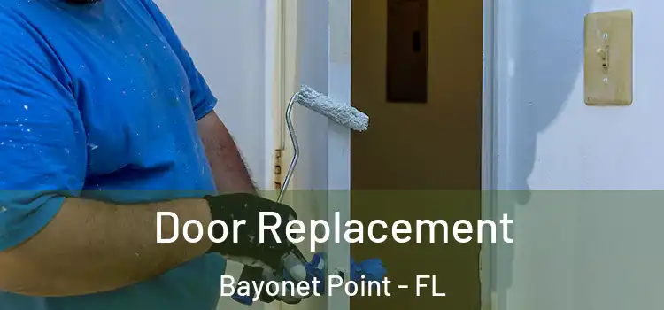 Door Replacement Bayonet Point - FL