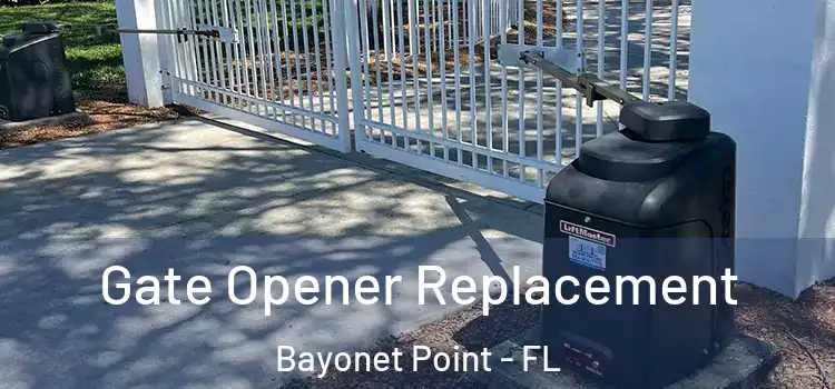 Gate Opener Replacement Bayonet Point - FL