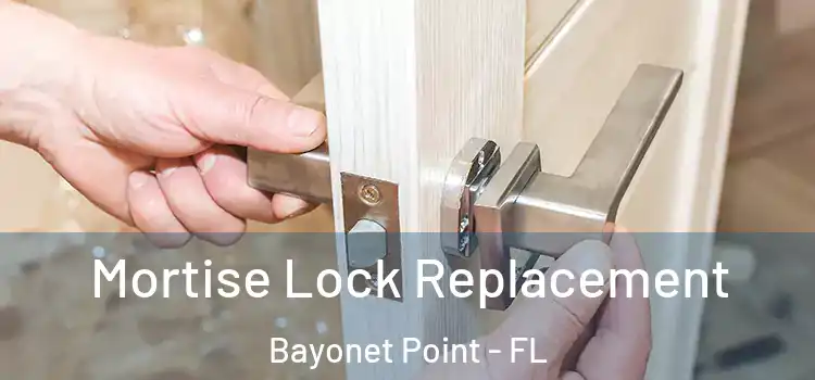 Mortise Lock Replacement Bayonet Point - FL