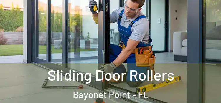 Sliding Door Rollers Bayonet Point - FL