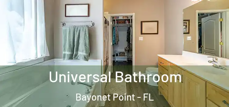 Universal Bathroom Bayonet Point - FL